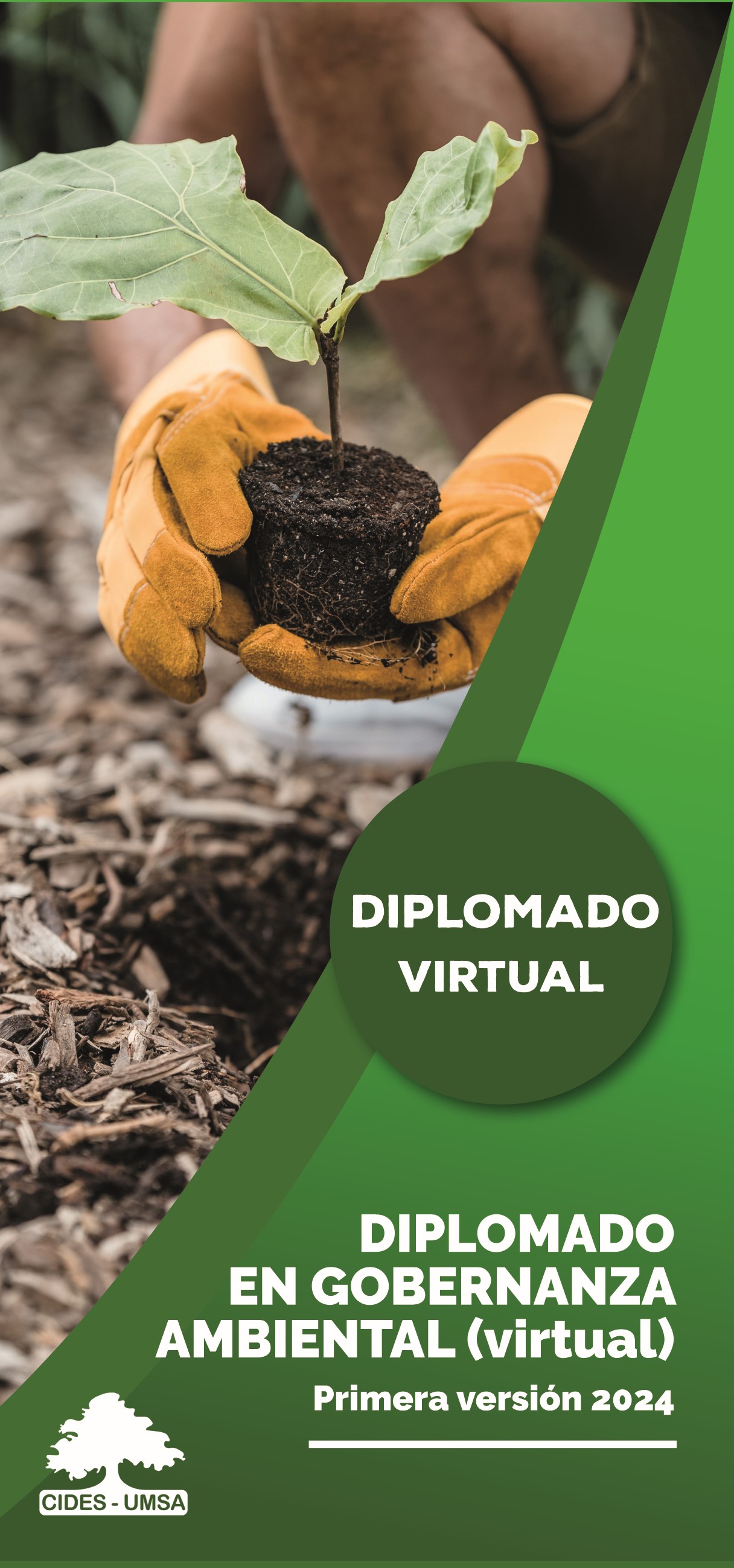 DIPLOMADO EN GOBERNANZA AMBIENTAL